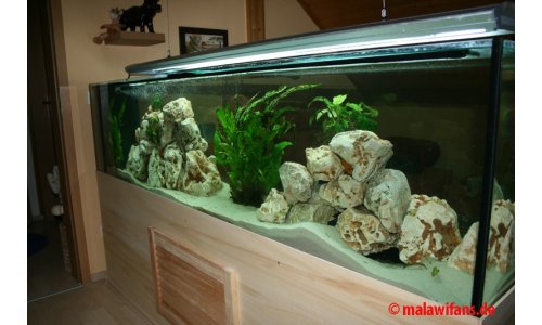 Malawi Mbuna Becken 500l